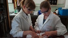 Juniordoktor 2015