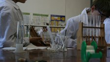 Juniordoktor 2016