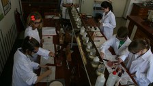 Juniordoktor 2016