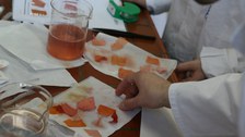 Juniordoktor 2016