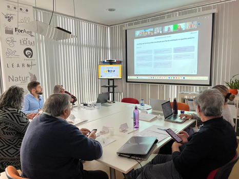 Impressions of the Focus Group in Portugal