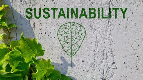 Begrünte Wand mit Schriftzug "Sustainability" und Logo