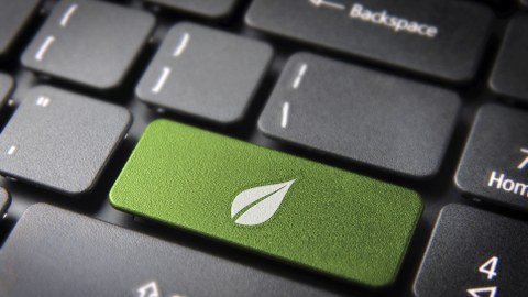 Foto einer Computertastatur mit einer grünen Taste mit einem grünen Blatt darauf.