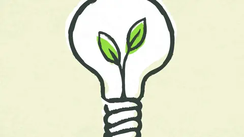Glühlampe mit einer kleinen grünen Pflanze im Inneren
