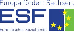 Logo Europa fördert Sachsen