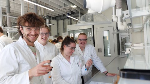 Studierende beobachten die chemischen Vorgänge in Reagenzgläsern.