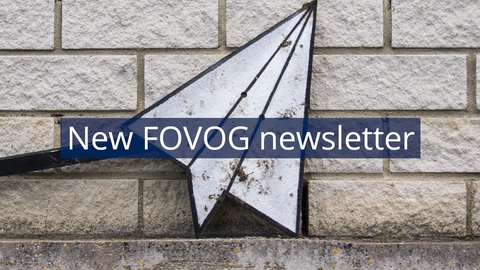 Das Bild zeigt einen Papierflieger vor einer Steinmauer. Darauf steht "New FOVOG newsletter"
