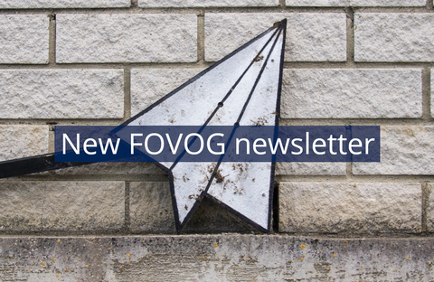 Das Bild zeigt einen Papierflieger vor einer Steinmauer. Darauf steht "New FOVOG newsletter"