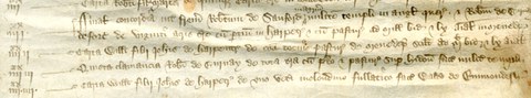 Ausschnitt eines historischen Dokuments aus Pergament mit lateinischer Kanzleischrift in brauner Tinte. Links befinden sich am Rand vertikal angeordnete römische Ziffern, daneben folgen geschriebene Textzeilen in einer mittelalterlichen Handschrift.