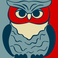 Eine mit Illustrator erstelle Eule als Logo des FSR.