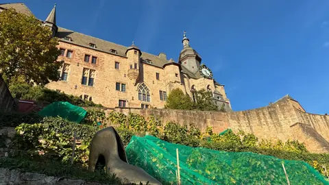 Marburg Vortrag Prof. Lundgreen