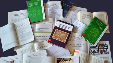 Foto der Publikationen der Professur. Es werden die Einbände der Schriften gezeigt, welche herausgegeben wurden oder die Titelseite des Artikels, welcher in Schriften veröffentlich wurde.