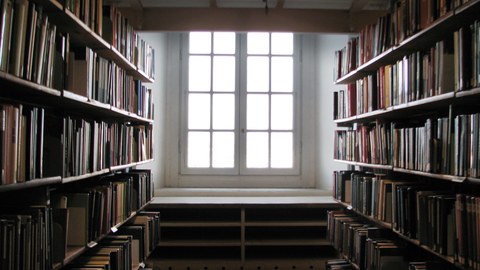 Bücherregal mit Blick auf Fenster