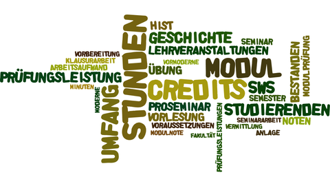 Wordcloud mit Begriffen aus der Studienordnung