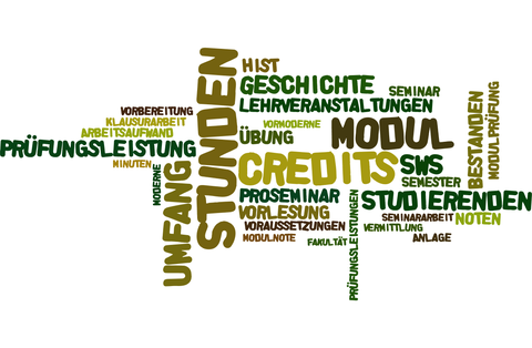 Wordcloud mit Begriffen aus der Studienordnung