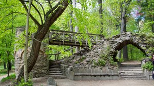 Steinbrücke mit Waldpanorama