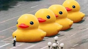 Rubber Duck Tank Man Meme