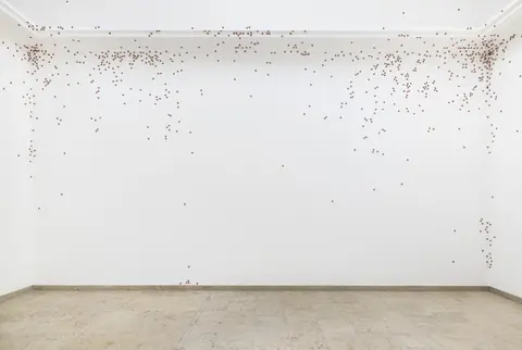 Weiße Raumwand mit zahlreichen kleinen roten Punkten, die unregelmäßig verteilt sind und sich an den Ecken und Rändern konzentrieren