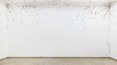 White gallery wall with numerous small red dots irregularly scattered, concentrated near corners and edges