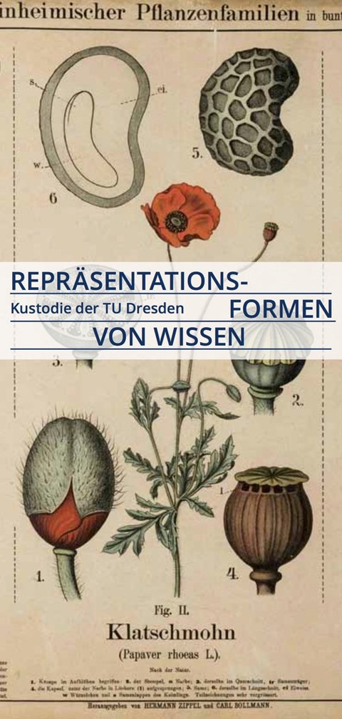 Repräsentationsformen von Wissen Seminar WiSe 20/21