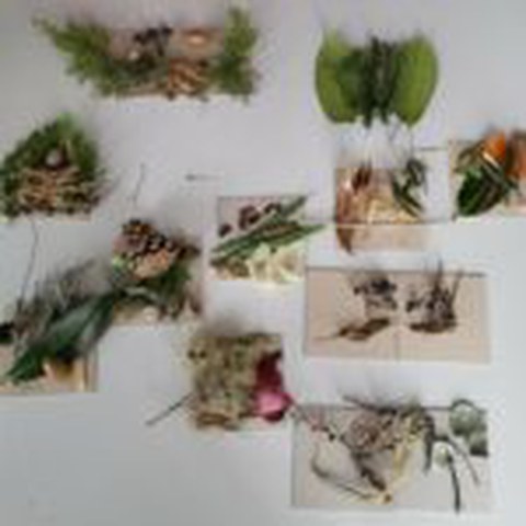Fotografie von Naturmaterialien