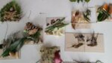 Fotografie von Naturmaterialien