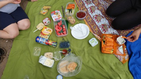 Bild einer grünen Picknickdecke mit verschiedenem Essen darauf