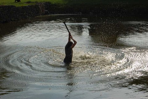 performance bilder ines herrmann 2
