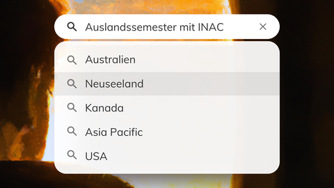Info Ausladssemester