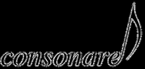 Logo consonare