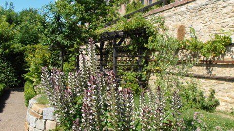 Klostergarten Wechselburg