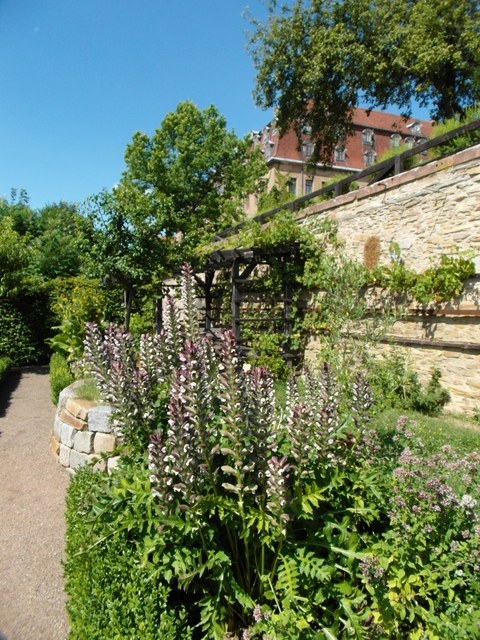 Klostergarten Wechselburg