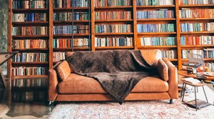 Sofa vor dem Bücherregal