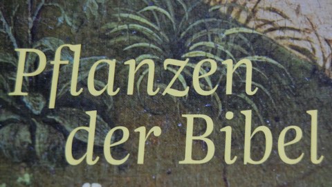 Buchcover "Pflanzen der Bibel"