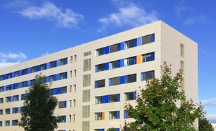 Blaues Haus Umzug