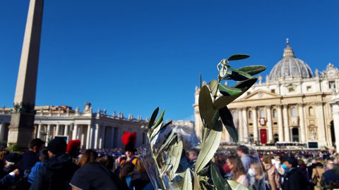 PalmsonntagPetersplatz.jpg