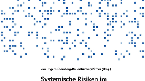 Systemische Risiken im digitalen Zeitalter