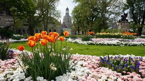 Dresden_Fruehling_1