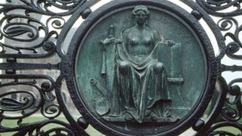 DGVN Mittagsgespräch Prof. Steiger