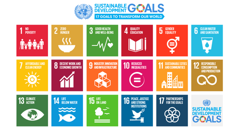 SDG poster