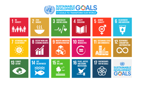 SDG poster