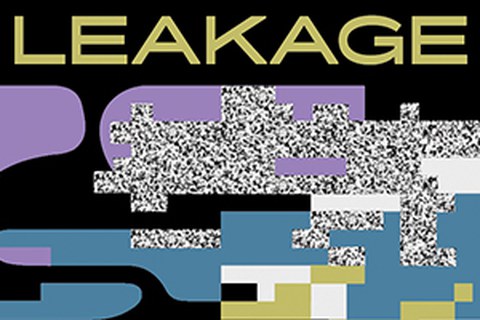 Logo Leakage 