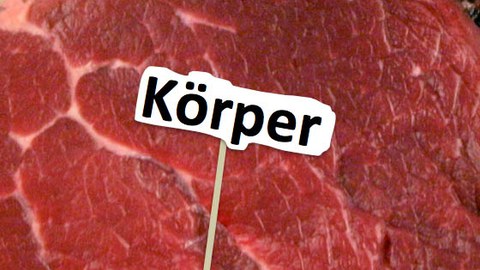 Körper