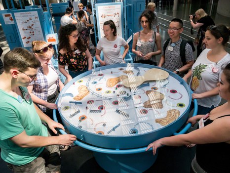 Eine Gruppe geht durch die Ausstellung Frieden Machen