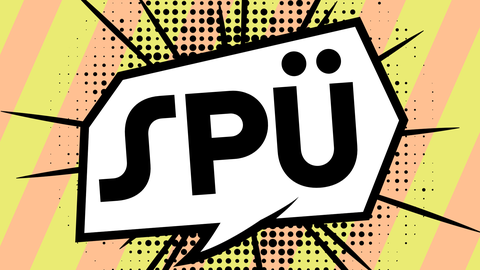 Schulpraktische Übungen