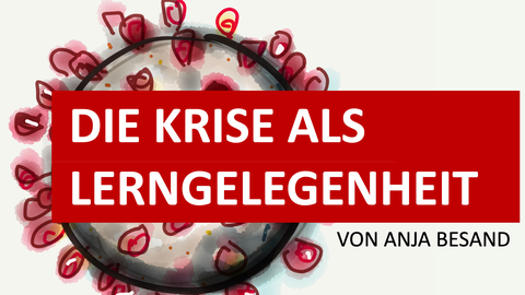 Die Krise als Lerngelegenheit