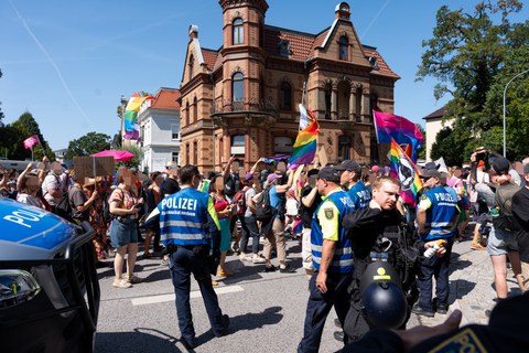 Protestbefragungen