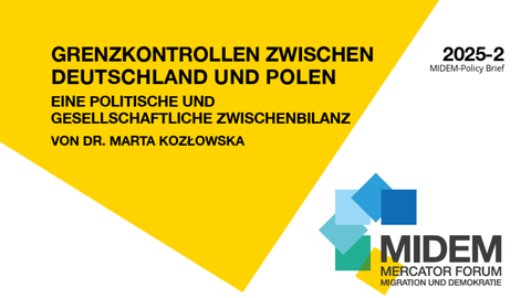MIDEM_Policy Brief 2025-2.png