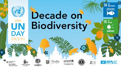 Grafik, die den UN Day 2020 bewirbt mit dem Titel "Decade on Biodervistity"