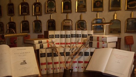 Foto von mehrbändigem Wörterbuch, Ledergebunden, einige Bände aufgeschlagen